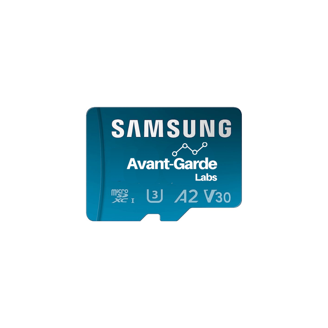 Memory Card Replacement - V1 - Avant - Garde Labs